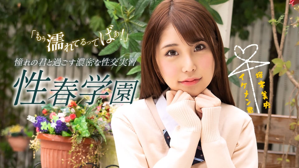 青春学园樱木澪