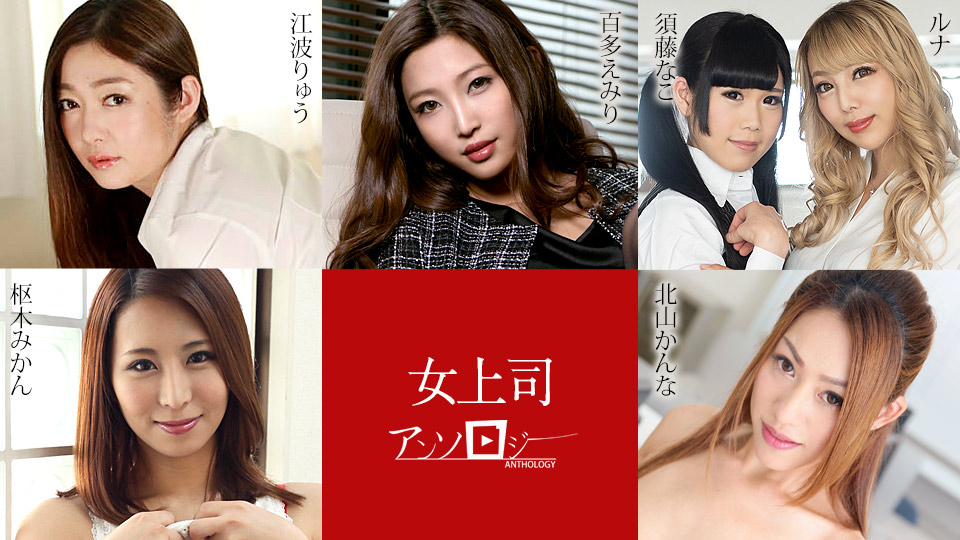 女老板文集