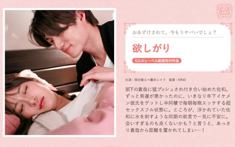 招募藤井蕾拉 星賢人